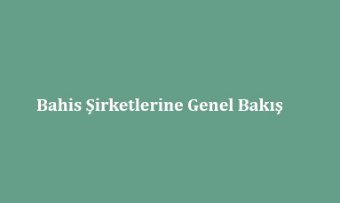 Bahis Şirketlerine Genel Bakış